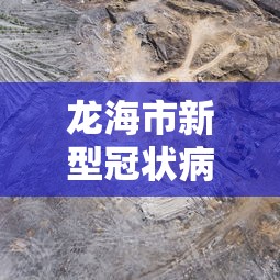 龙海市新型冠状病毒最新消息 龙海市新型冠状病毒最新消息