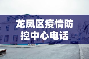 龙凤区疫情防控中心电话