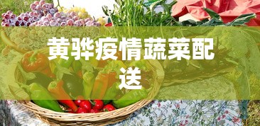 一分钟介绍使用“蛮王大厅有没有挂”揭秘透视辅助万能挂