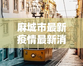 (5分钟介绍)“加个菜十三水开挂神器”开挂安装教程