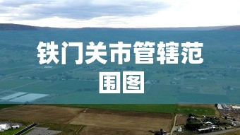 终于清楚“微乐陕西三带到底有没有挂”(详细透视教程)-