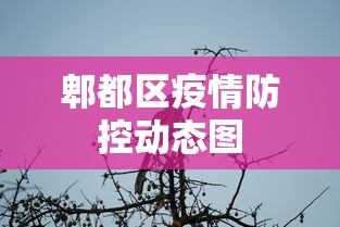 分析实测“微信小程序的微乐麻将有挂吗”掌握辅助功能必胜规则