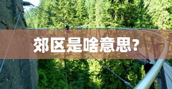 今日必看盘点 ＂渝都亲友圈有人要挂吗	”开挂(透视)辅助神器