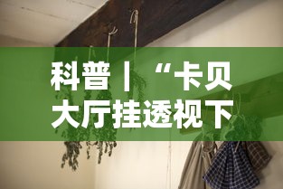 科普｜“卡贝大厅挂透视下载”分享必要外挂教程