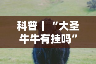 科普｜“大圣牛牛有挂吗”开挂方法