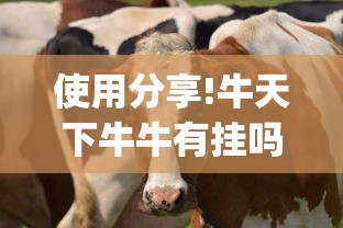 使用分享!牛天下牛牛有挂吗”(详细开挂教程)