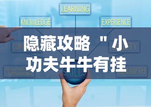 隐藏攻略 ＂小功夫牛牛有挂吗”详细分享装挂步骤