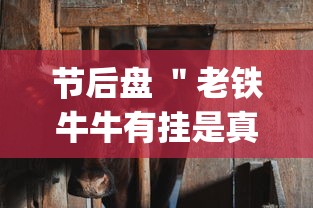 节后盘 ＂老铁牛牛有挂是真的吗”(透视挂)详细用法教程