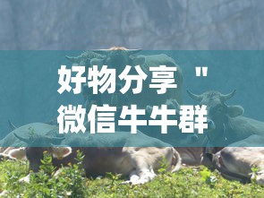好物分享 ＂微信牛牛群有透视挂吗”(透视)辅助透视教程