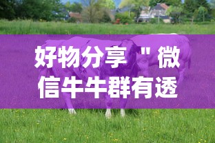 好物分享 ＂微信牛牛群有透视挂吗”(透视)辅助透视教程