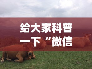 给大家科普一下“微信六人牛牛房有挂吗(确实真的有挂)-知乎