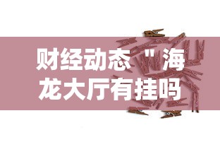 财经动态 ＂海龙大厅有挂吗	”其实确实有挂