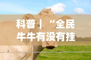 科普｜“全民牛牛有没有挂”(透视)其实确实有挂