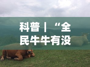 科普｜“全民牛牛有没有挂	”(透视)其实确实有挂