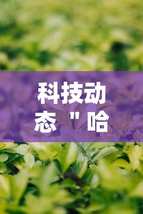 科技动态 ＂哈哈血战到底麻将开挂教程”详细辅助教程分享