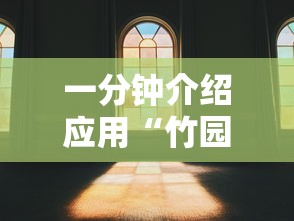 一分钟介绍应用“竹园茶楼开挂透视神器”真实开挂技巧分享