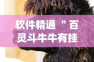 软件精通 ＂百灵斗牛牛有挂吗	”(透视)其实真的有挂
