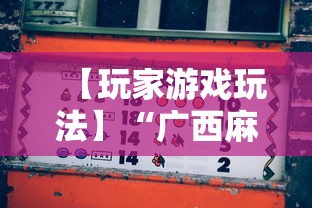 【玩家游戏玩法】“广西麻将怎么开挂星悦”辅助透视教程