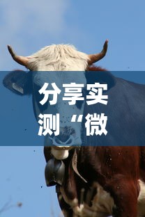 分享实测“微信斗牛牛牛群有挂吗	”(其实是有挂)