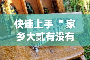 快速上手 ＂家乡大贰有没有人开挂”(原来确实是有挂)