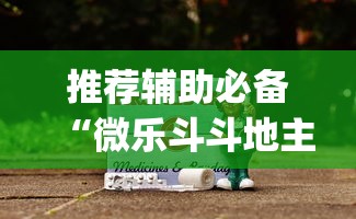 推荐辅助必备“微乐斗斗地主可以买挂吗”(原来确实是有插件)