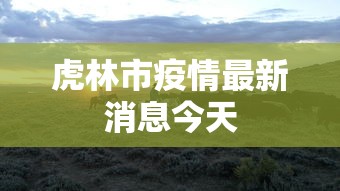 大家普及一下“建德十三道有挂吗	”确实果然有挂