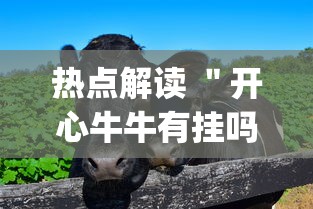 热点解读 ＂开心牛牛有挂吗”(果然有透视挂)