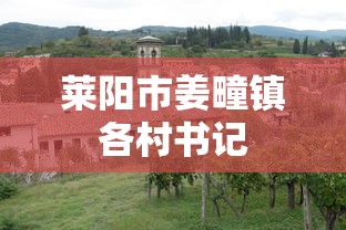 莱阳市姜疃镇各村书记